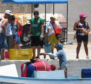DZILAM BRAVO, 17 de junio de 2016.- La economía que mueve la temporada de pesca del pepino de mar.;Megamedia/Mauricio Can